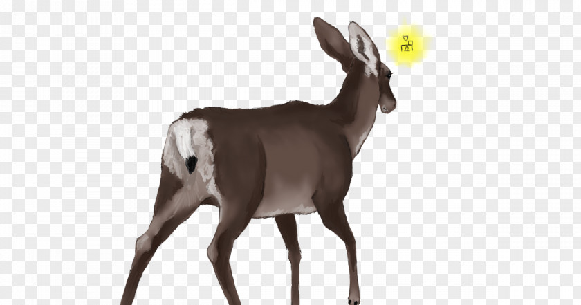 Goat Antelope White-tailed Deer Wildlife PNG