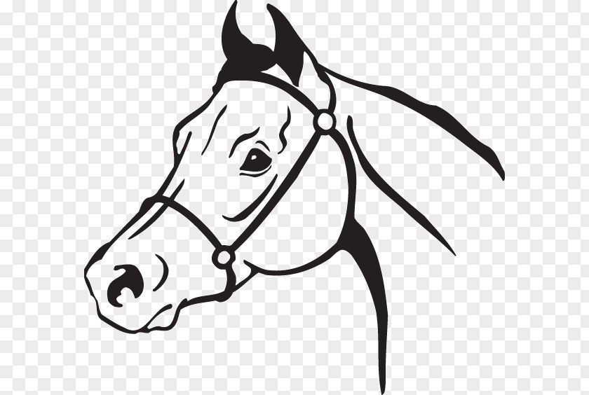 Mustang Clip Art American Quarter Horse Openclipart Arabian PNG