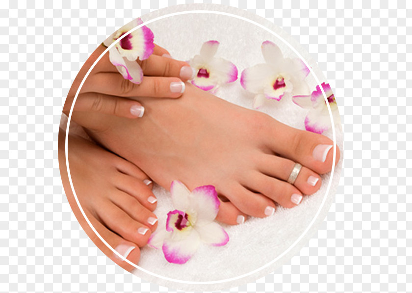 Nail Pedicure Manicure Day Spa Beauty Parlour PNG