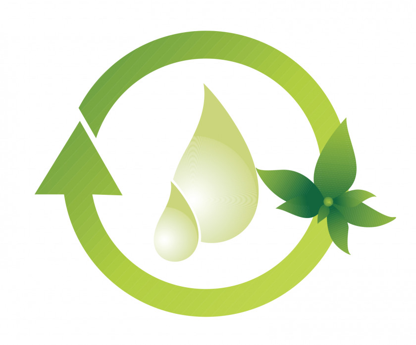 Olive Oil Logo Water Conservation PNG