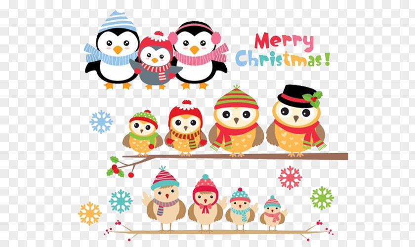 Owls And Penguins Penguin Owl Clip Art PNG