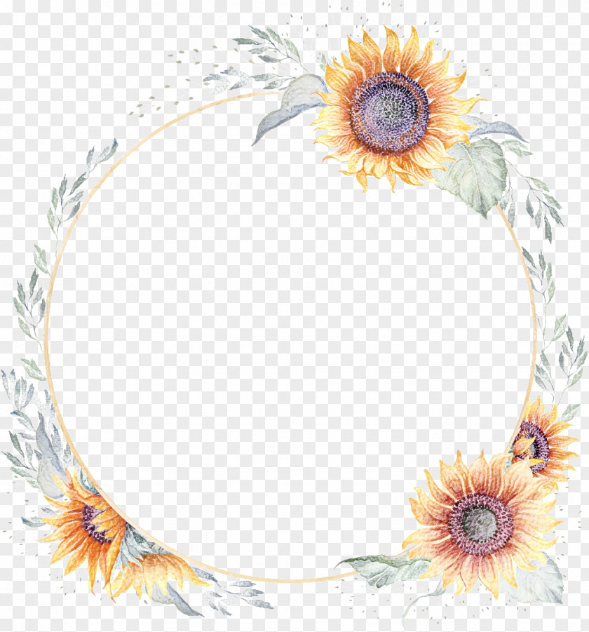 Picture Frame PNG