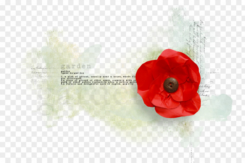 Poppy Rose Petal PNG