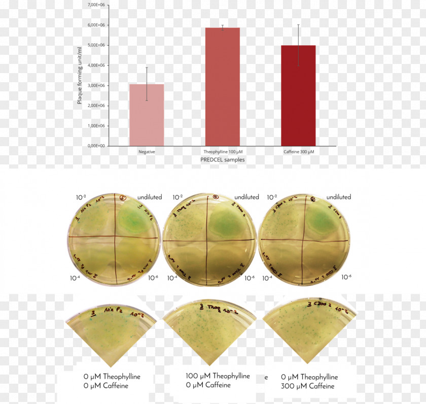 Riboswitch Rettungswache Cytochrome C International Genetically Engineered Machine Biology PNG