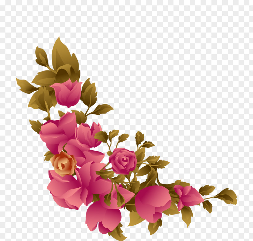 Rose Beach Flower PNG