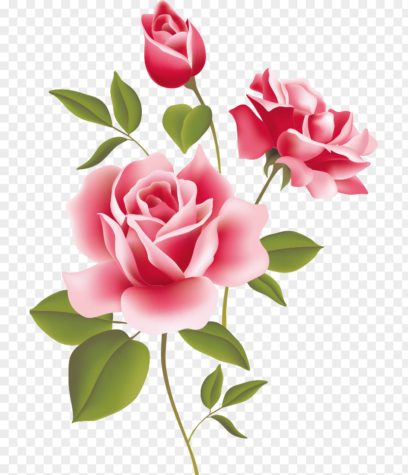 Rose Still Life: Pink Roses Desktop Wallpaper Clip Art PNG