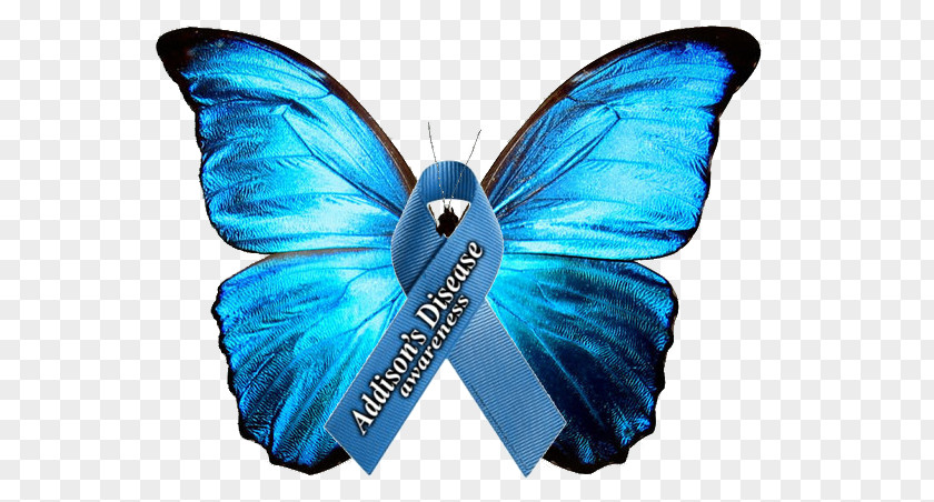 Adrenal Gland Addison's Disease Insufficiency Crisis Awareness Ribbon PNG