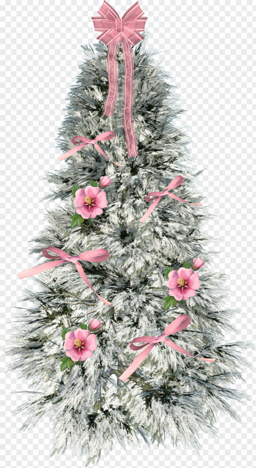 Aime Frame Christmas Tree Fir Santa Claus Day Decoration PNG