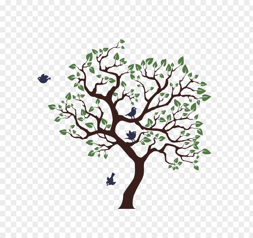 Family Tree Wall Decal Mural Painting PNG