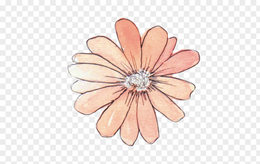 Flower Paper Drawing Watercolor Painting Sticker PNG