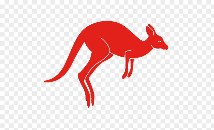 Kangaroo Dog Canidae Snout Clip Art PNG