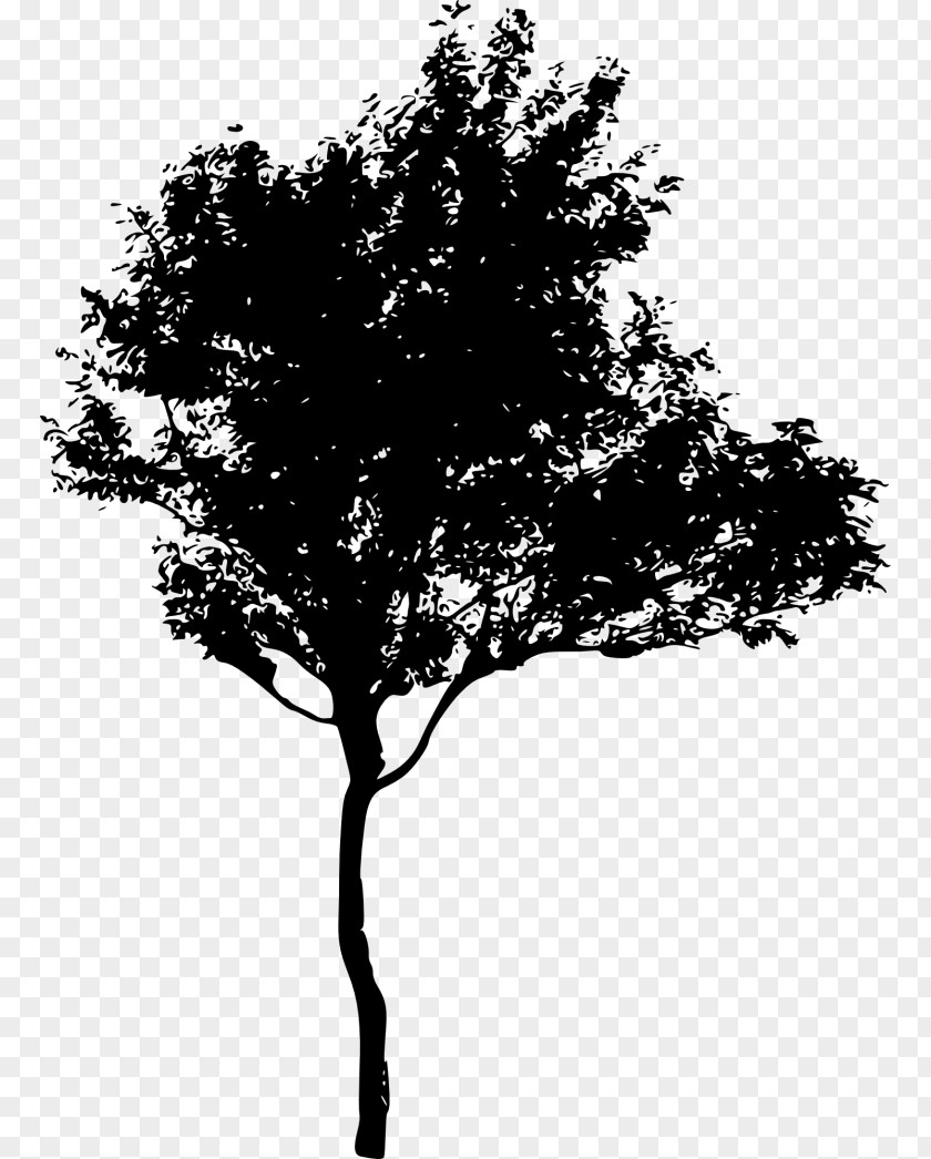 Mangrove Silhouette Tree Royalty-free PNG
