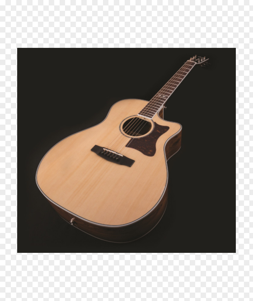Acoustic Guitar Acoustic-electric Cort Guitars Bass PNG