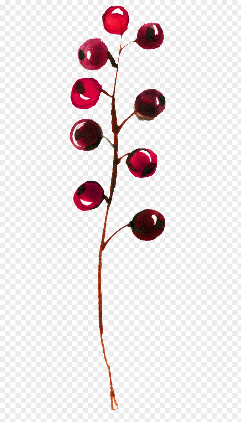 Currant Twig Red Tree PNG