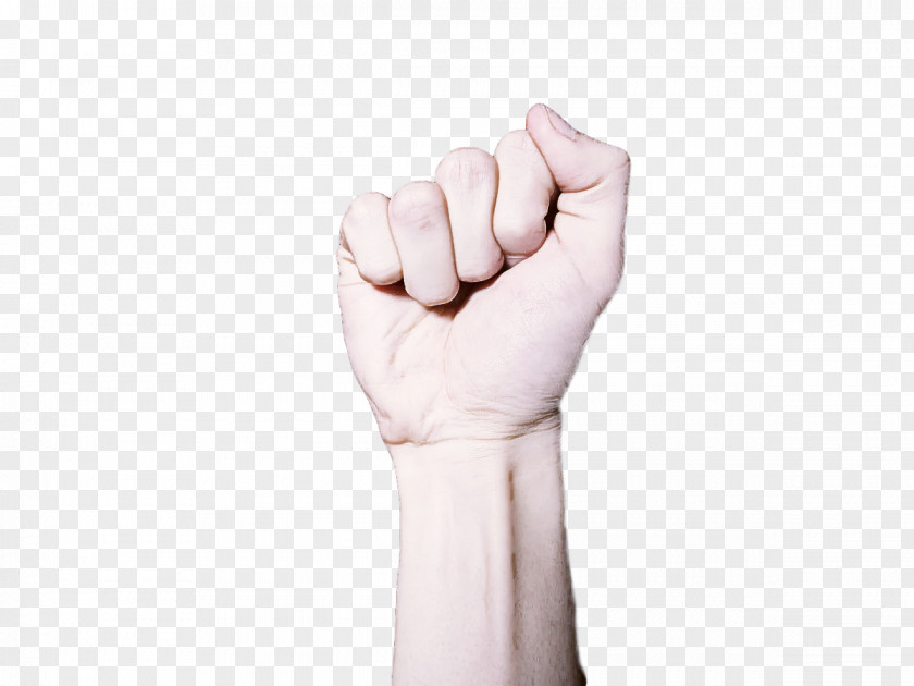 Joint Sign Language Hand Model Glove PNG