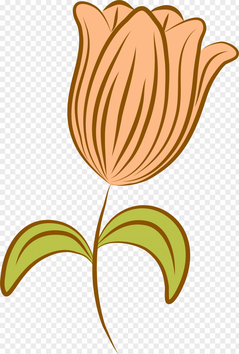 Orange Fresh Flowers Petal Flower Clip Art PNG