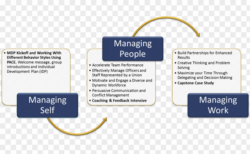 Self-awareness Management Development Human Resource Resources Training PNG