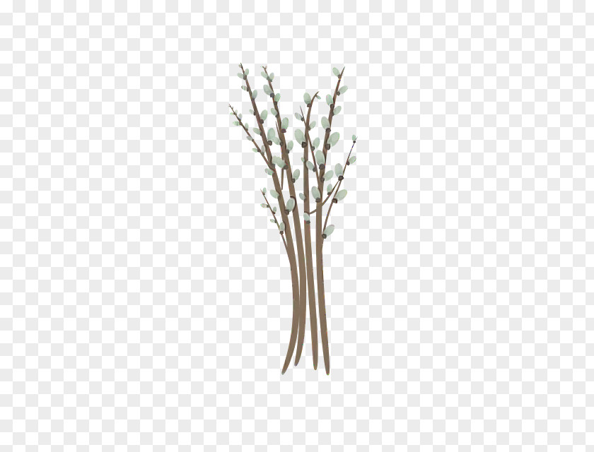 Twig Plant Stem Plants Biology Science PNG