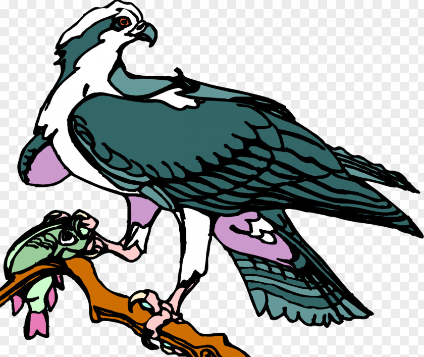 Vulture Bird Of Prey Beak Art PNG