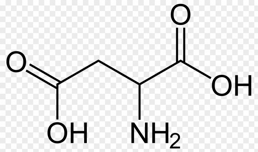 Aspartic Acid Alanine Amino Glutamic PNG