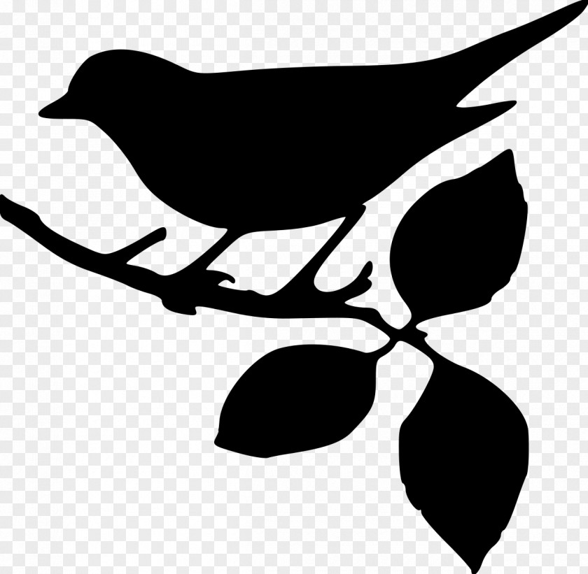 Beak Logo Tree Branch Silhouette PNG