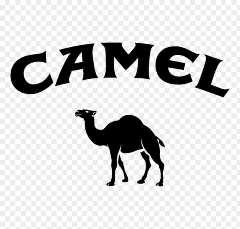 Camel Dromedary Crush Cigarette Joe PNG