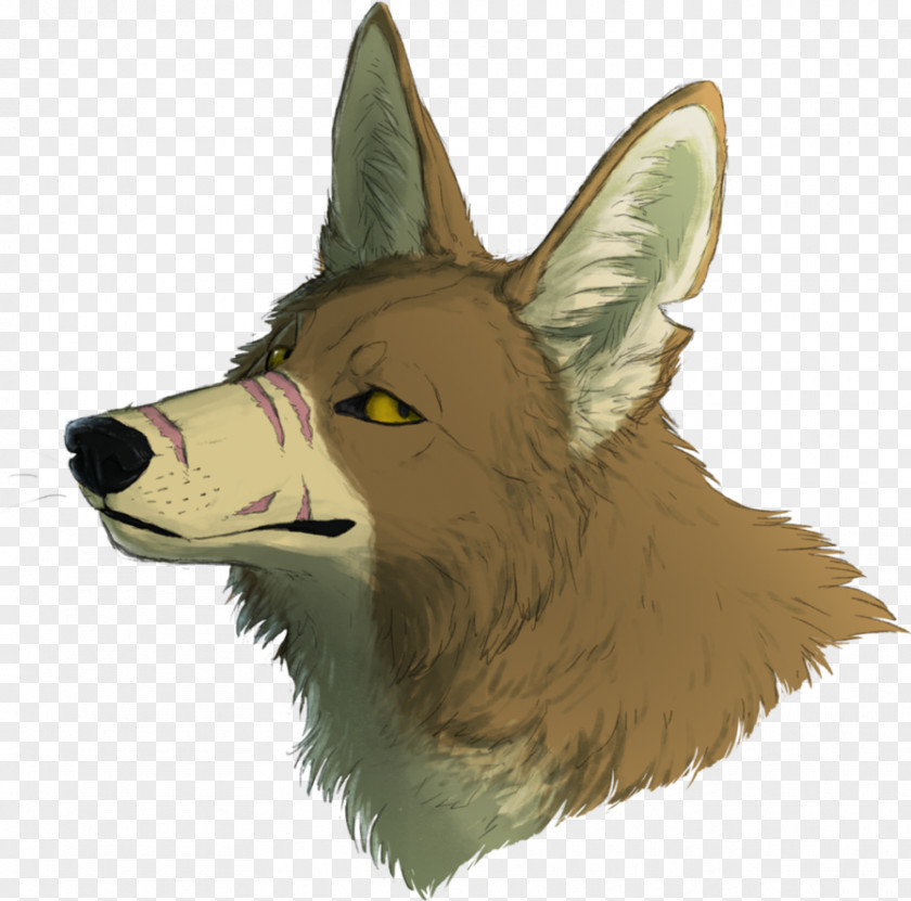 Dog Red Fox Breed Canis Ferox Art PNG