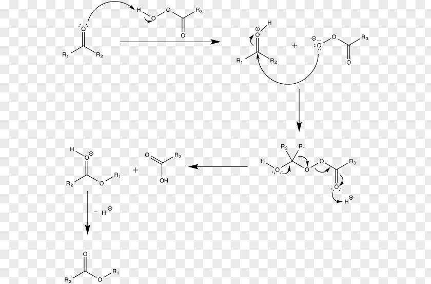 Reaction Mechanism Baeyer–Villiger Oxidation Meta-Chloroperoxybenzoic Acid Organic Redox PNG