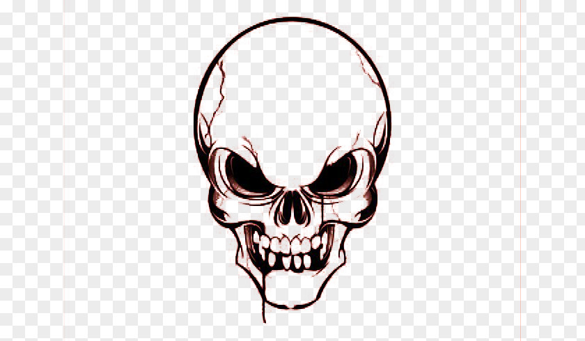 Skull Euclidean Vector Clip Art PNG