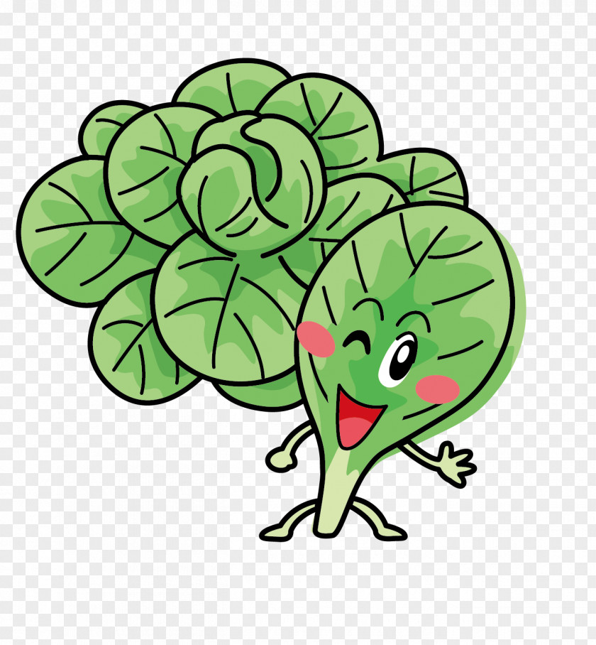 Vector Cabbage Leaves Leaf Clip Art PNG
