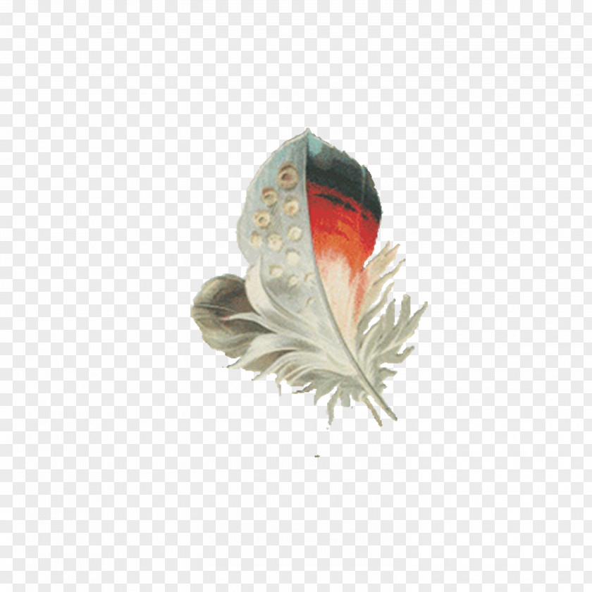 Feather In The Air Animation Clip Art PNG