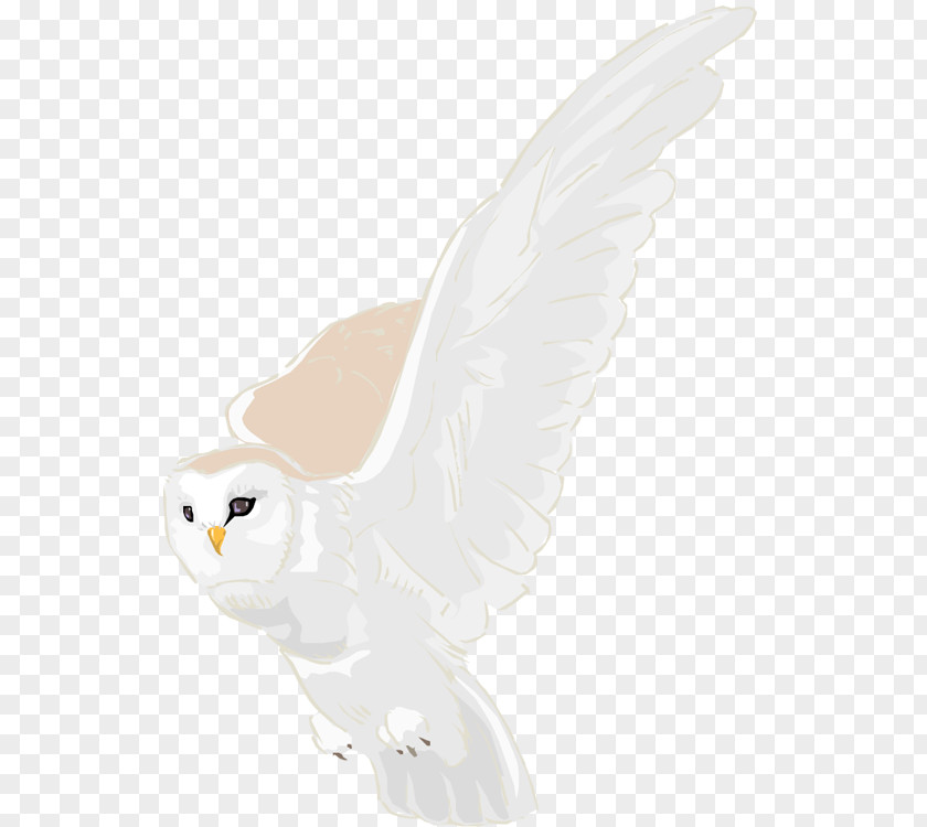 Harry-potter Castle Owl Feather Beak Figurine Tail PNG