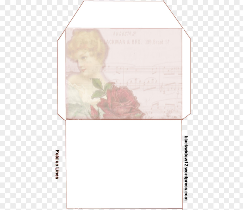 Pink Envelope Paper Pattern Picture Frames Petal M PNG