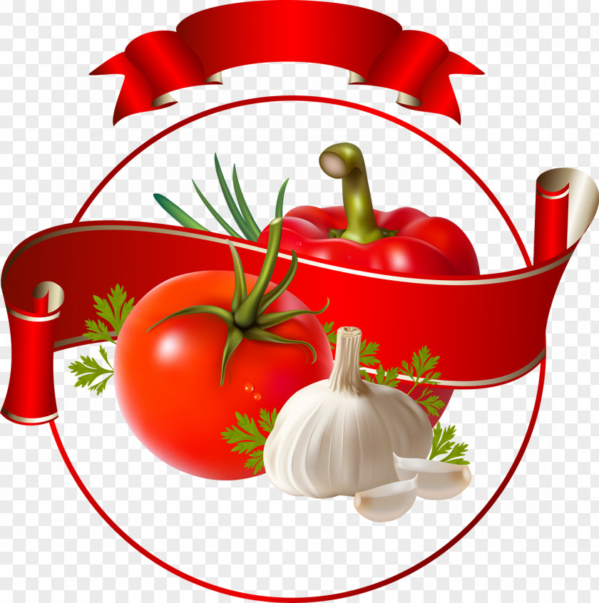Tomato Sauce Vegetable Ketchup Label PNG