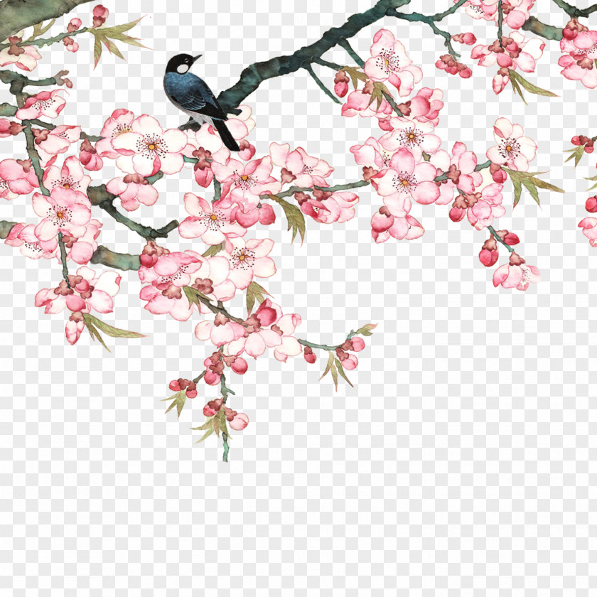 Birds In The Branches Peach Goods Film PNG