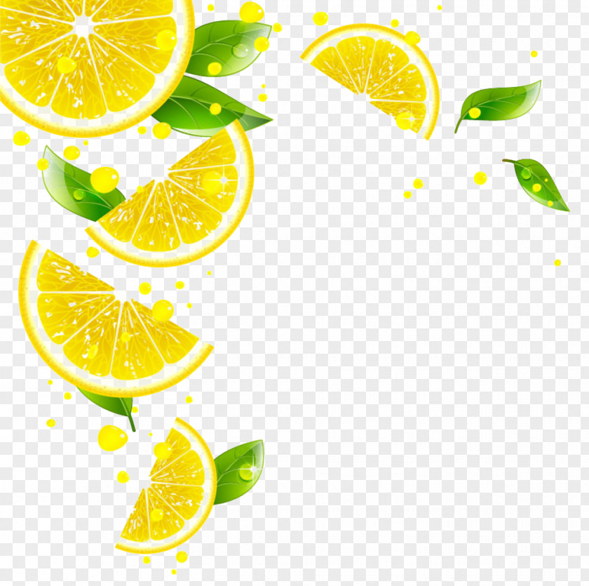 Lemon Juice Key Lime Grapefruit Tangerine PNG