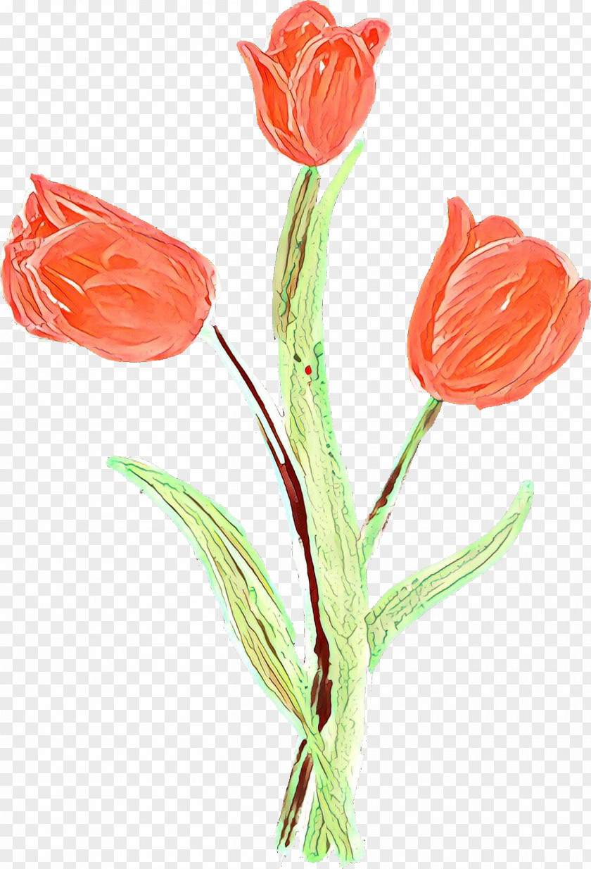 Lily Family Bud Watercolor Floral Background PNG