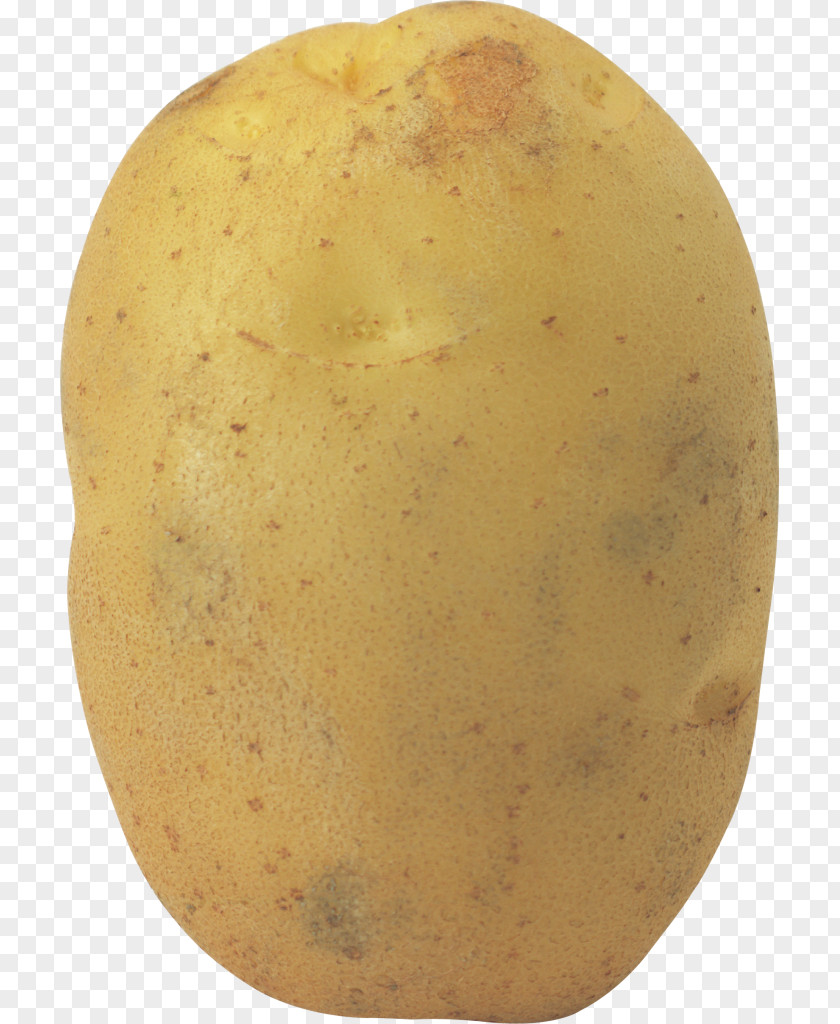 Potato Salad PNG