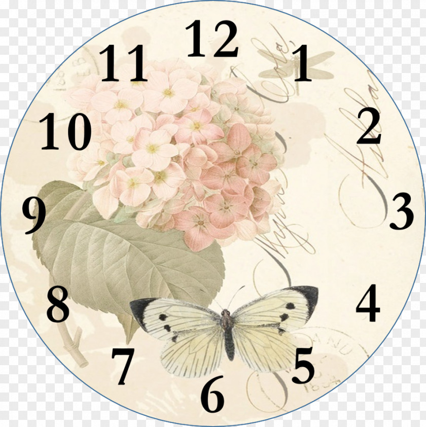 Clock Face Floral Floor & Grandfather Clocks Clip Art PNG
