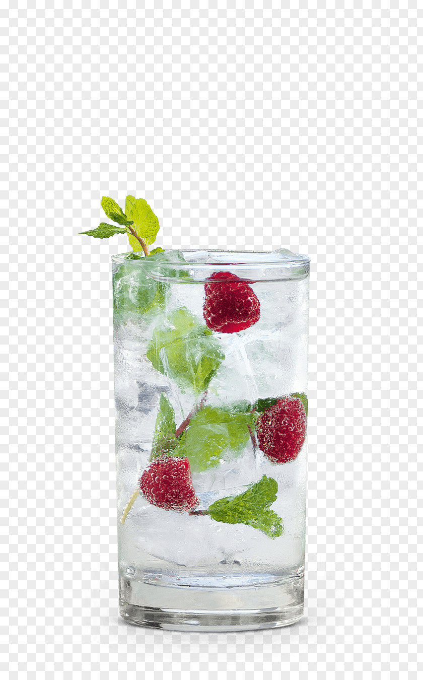 Cocktail Gin And Tonic Vodka Schnapps Garnish PNG