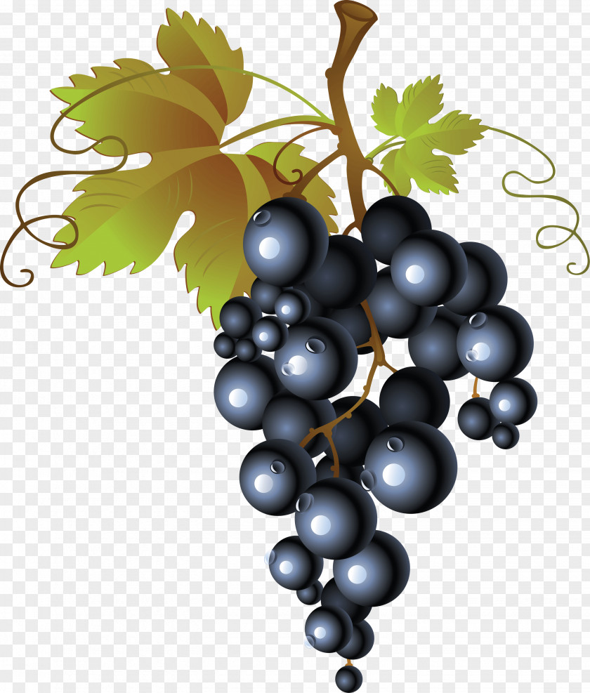 Grape Image Juice PNG