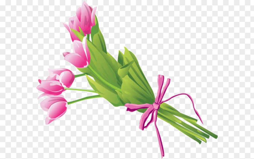Pink Tulips Flower Bouquet Clip Art PNG