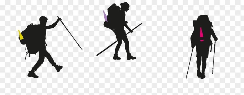 Ski Equipment Nordic Walking Wine Background PNG