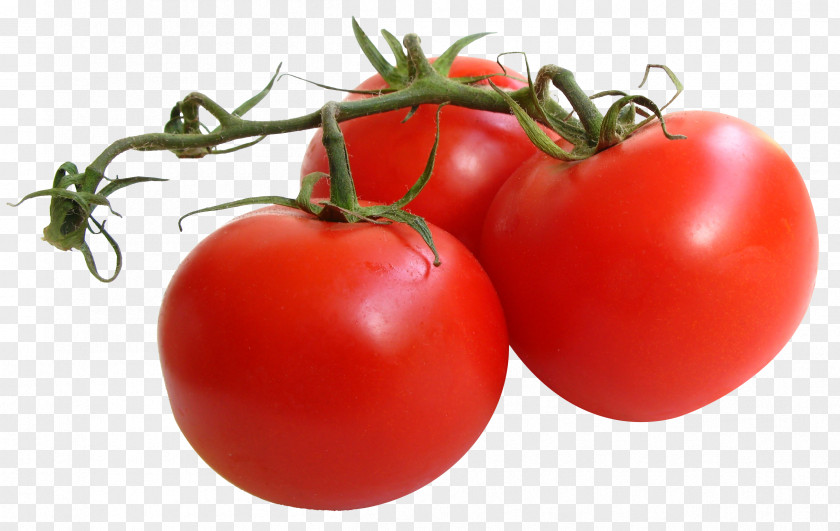 Tomato Chicago Botanic Garden Churrasco Vegetable Antioxidant PNG