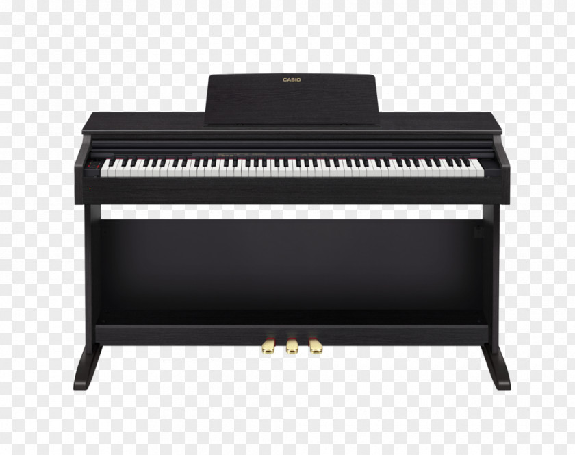 Piano Digital Action Casio Electronic Musical Instruments PNG
