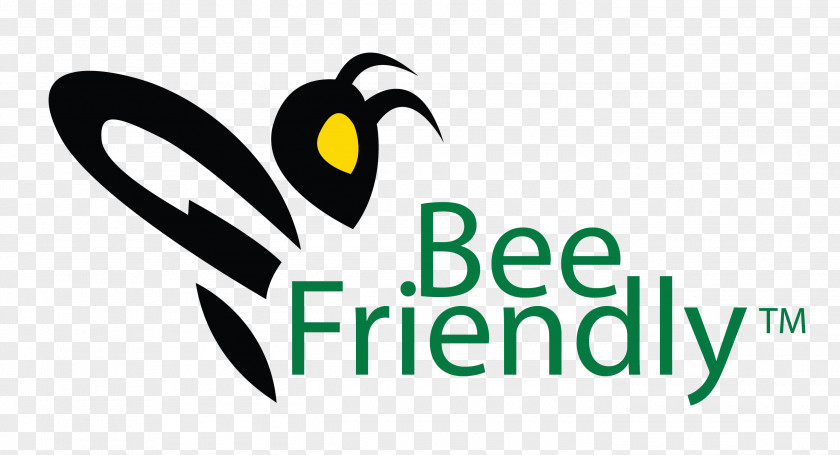 Bee Balm Logo Clip Art Graphic Design Brand Graphics PNG