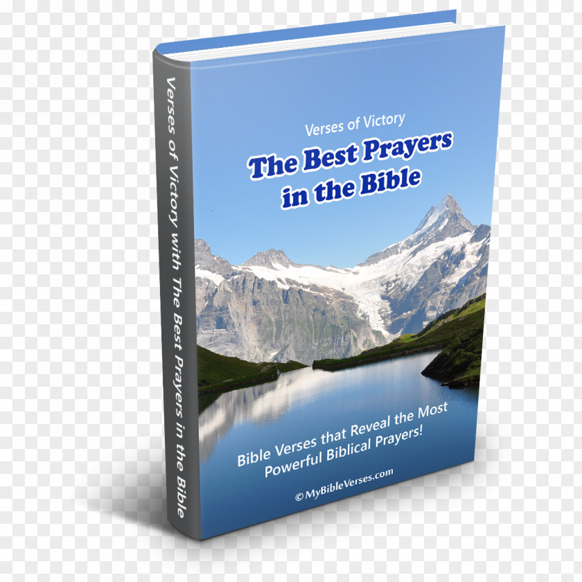 Bible Verses Praying God's Word Book Translation Prayer PNG
