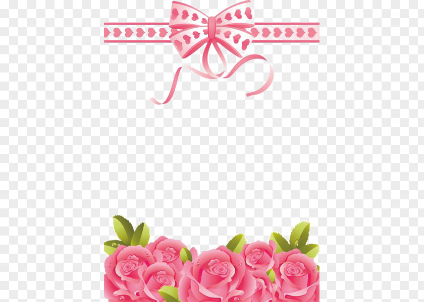 Color Bow Picture Frame Rose Pink PNG