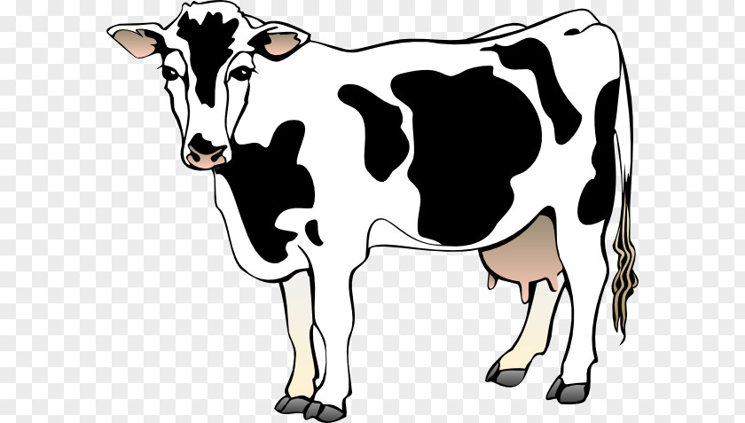 Dairy Cliparts Jersey Cattle Guernsey Angus Clip Art PNG