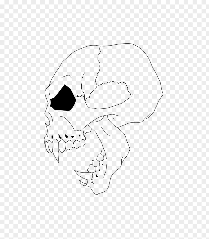 Ear Line Art Skull Sketch PNG